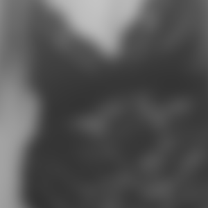 rencontre-Saint-Amand-Montrond